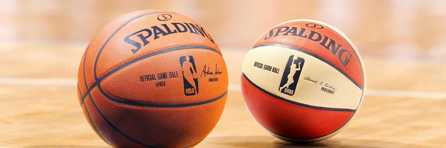 Twolves_Lynx's profile banner image