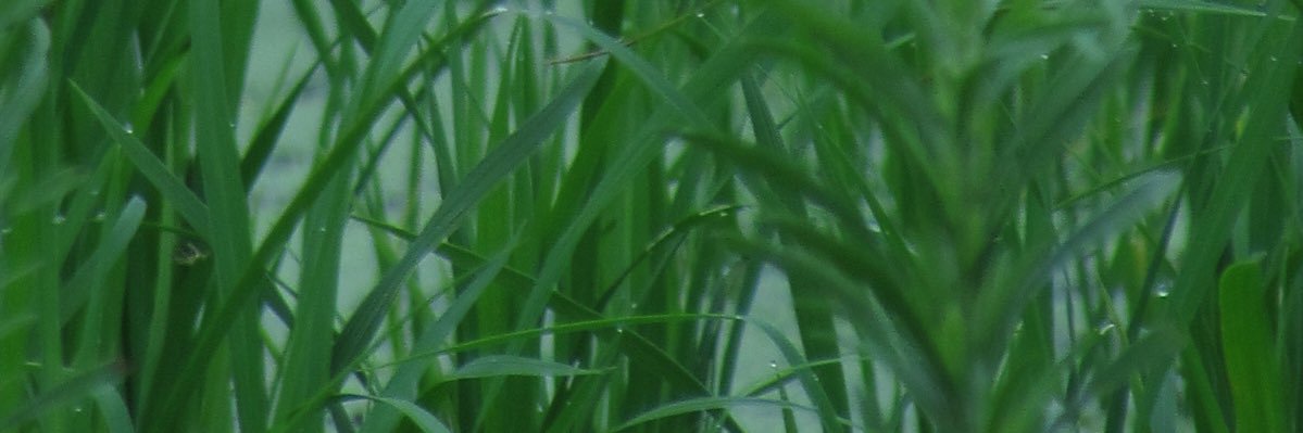 ak1_ki's profile banner image