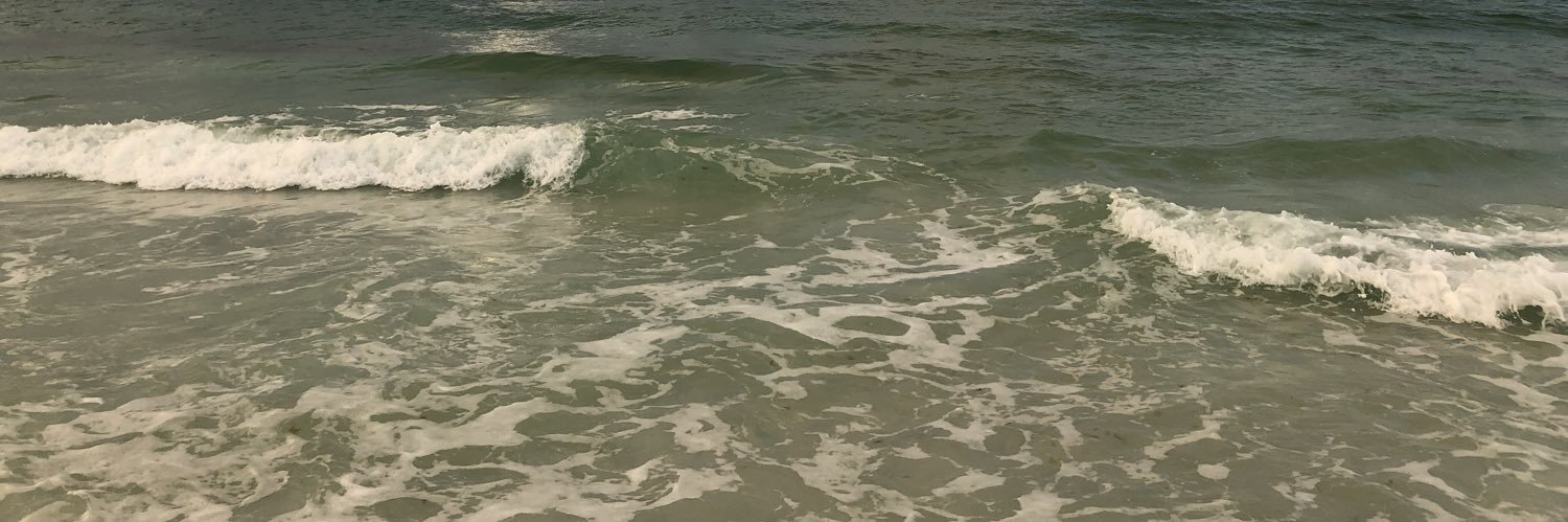Traci531's profile banner image