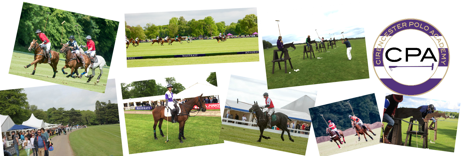 ExperiencePolo's profile banner image