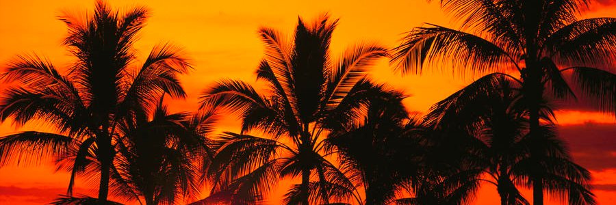 GlobalRubGLW's profile banner image