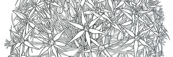 SarahPoat's profile banner image