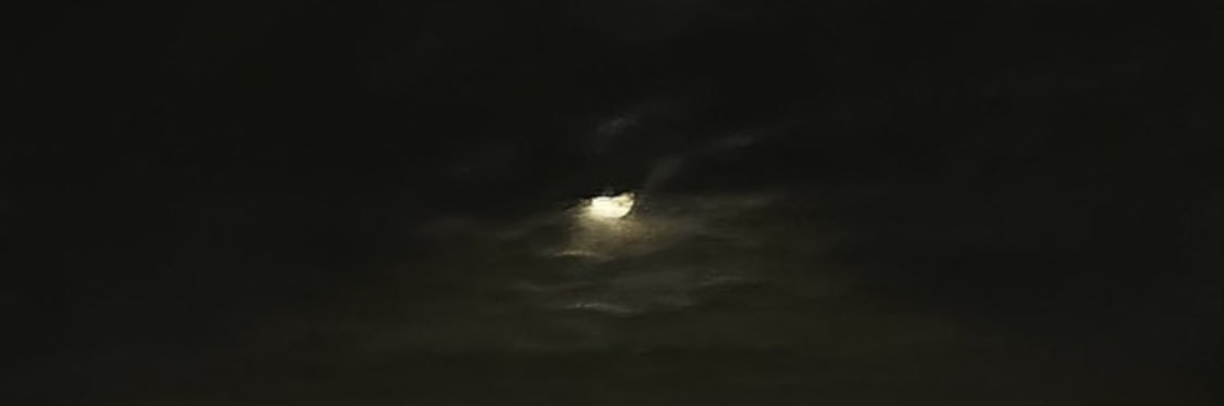 fatmaalshamlann's profile banner image
