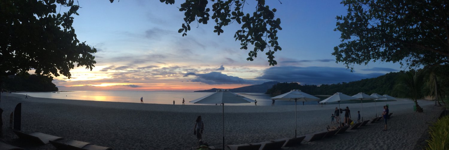 Johannes Soon banner