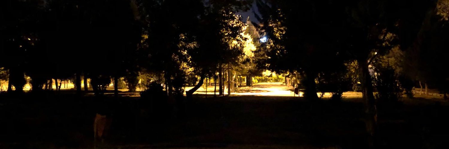 zayingeh's profile banner image