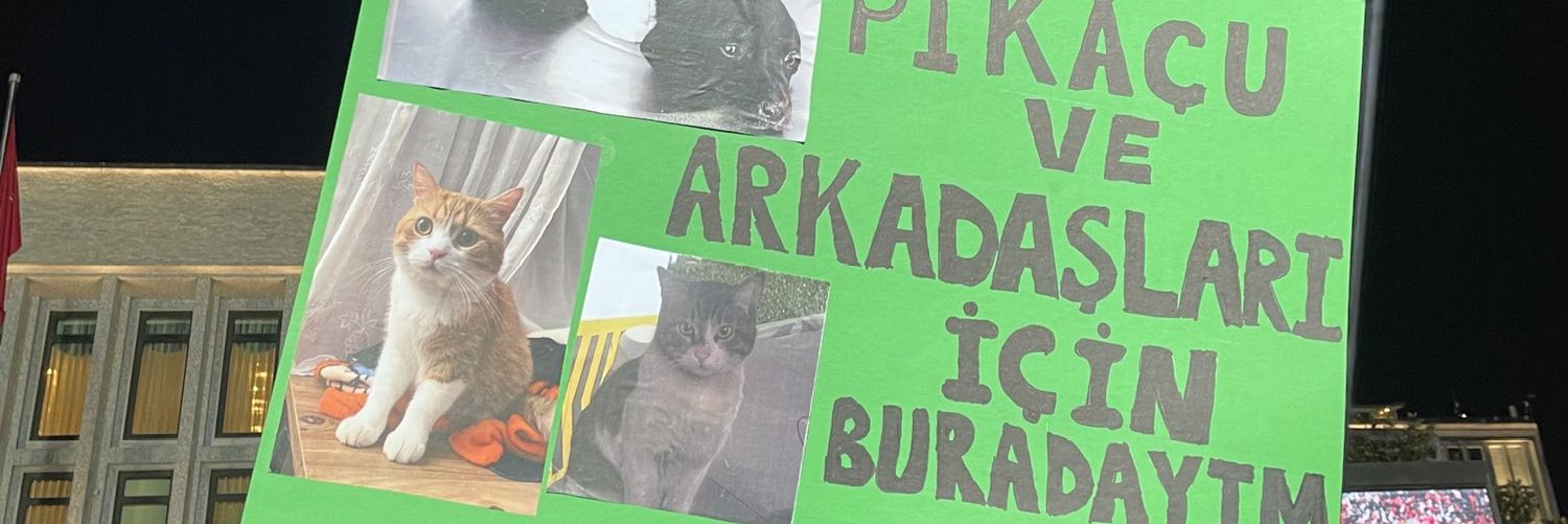 katatonikkk's profile banner image