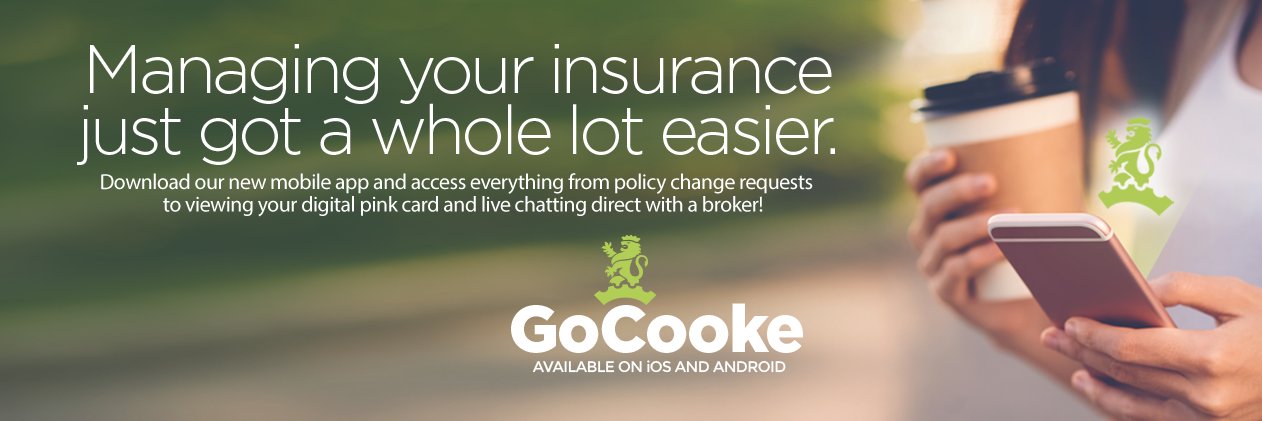 Cooke_ins's profile banner image