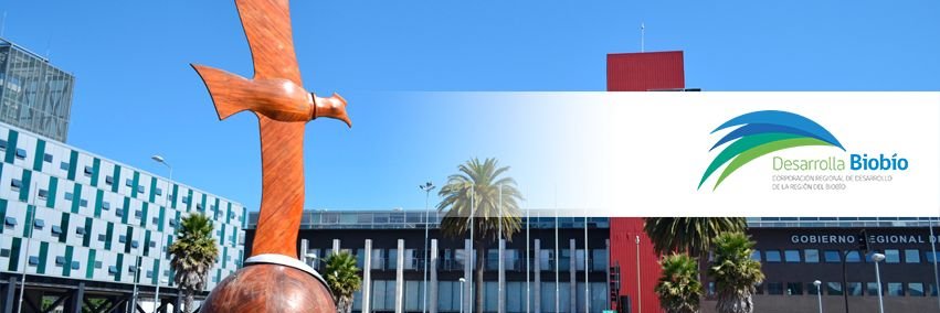Desarrolla Biobío banner