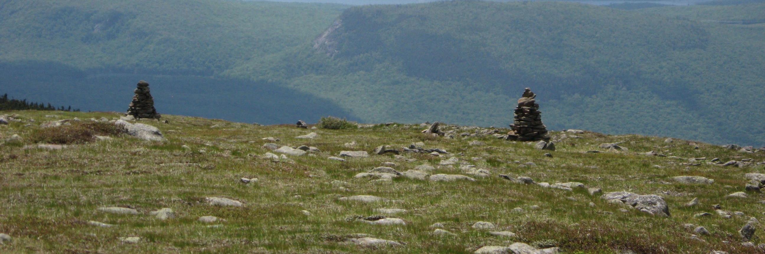 dfdietrich's profile banner image