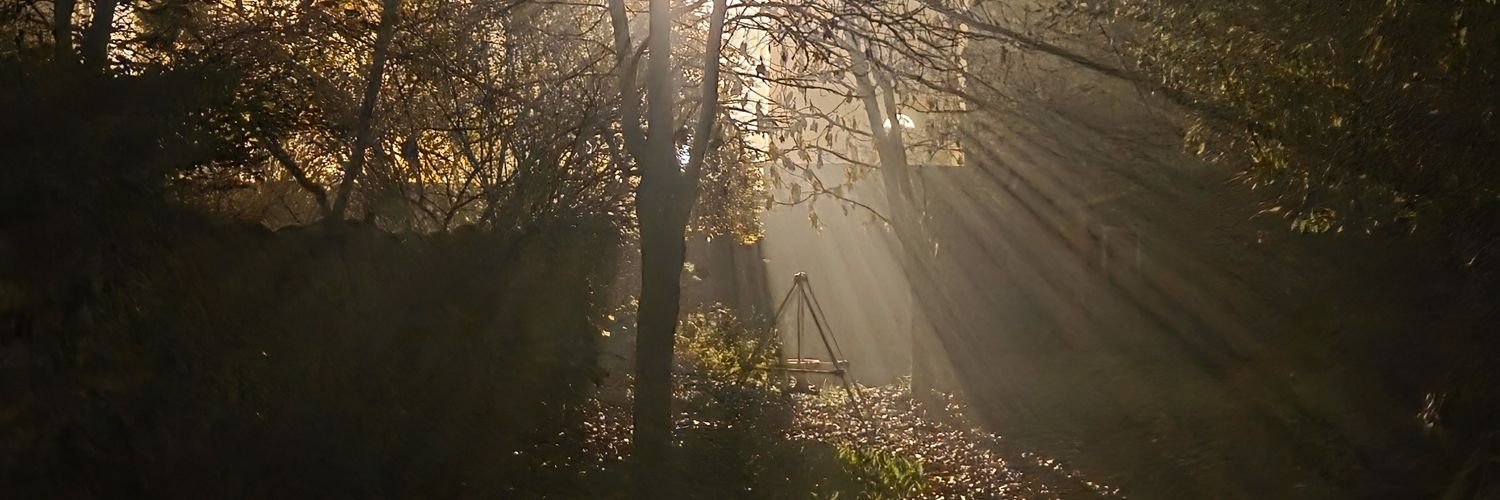 Zepgram's profile banner image