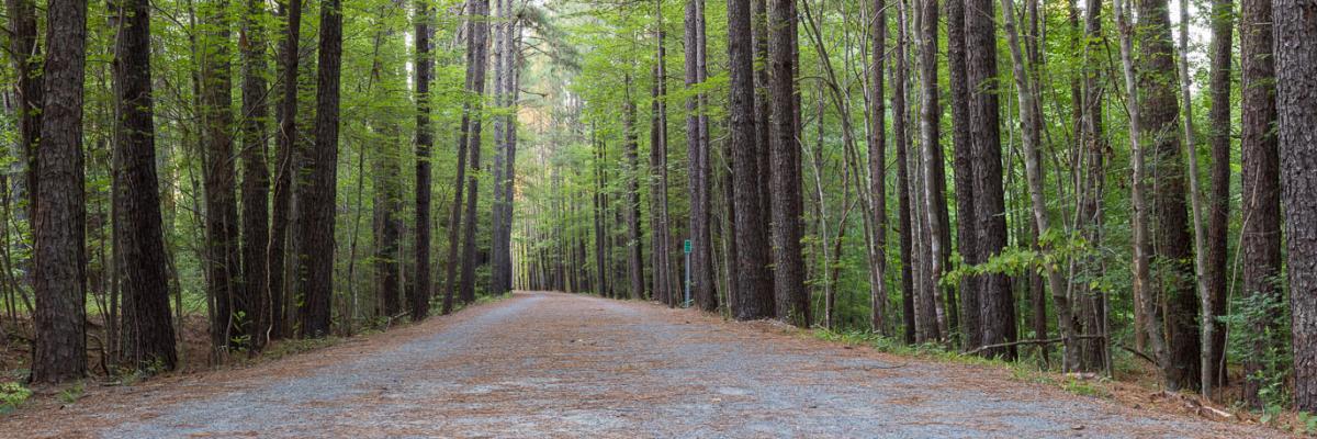 Andrew Kenealy banner