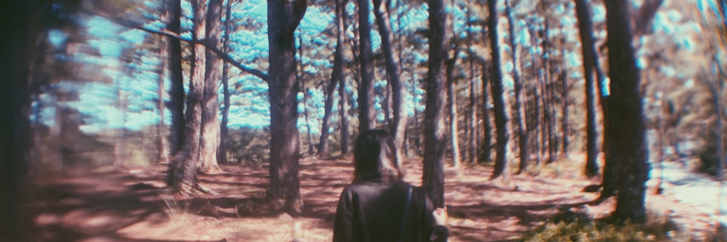 aicadacuno's profile banner image