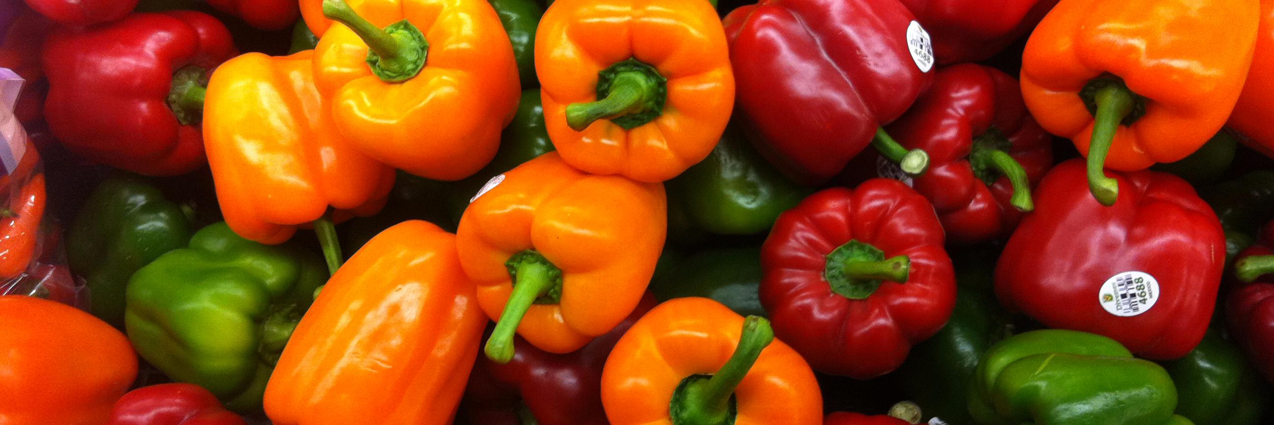 ThePepperTales's profile banner image