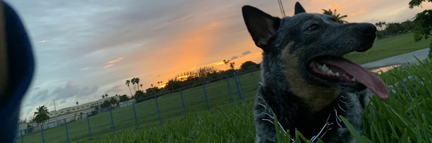 holyyenzo's profile banner image