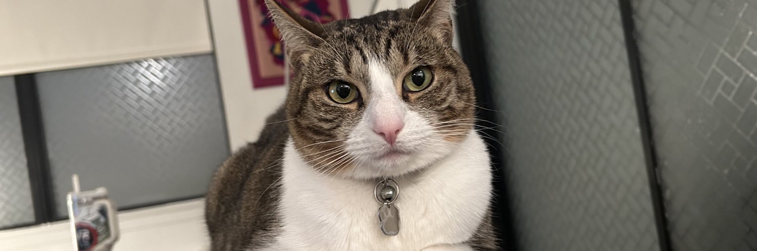 hey_herrmann_'s profile banner image