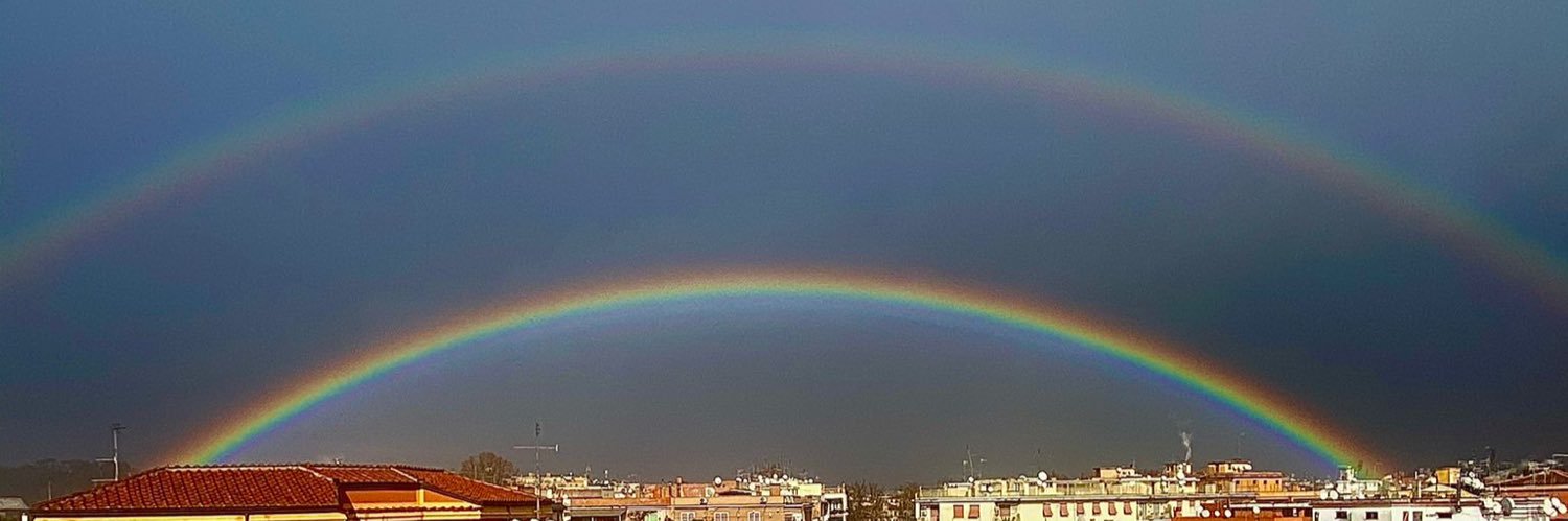 Luigi Coldagelli banner