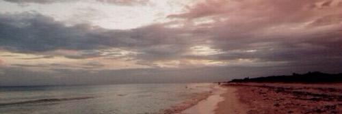 Jacky banner