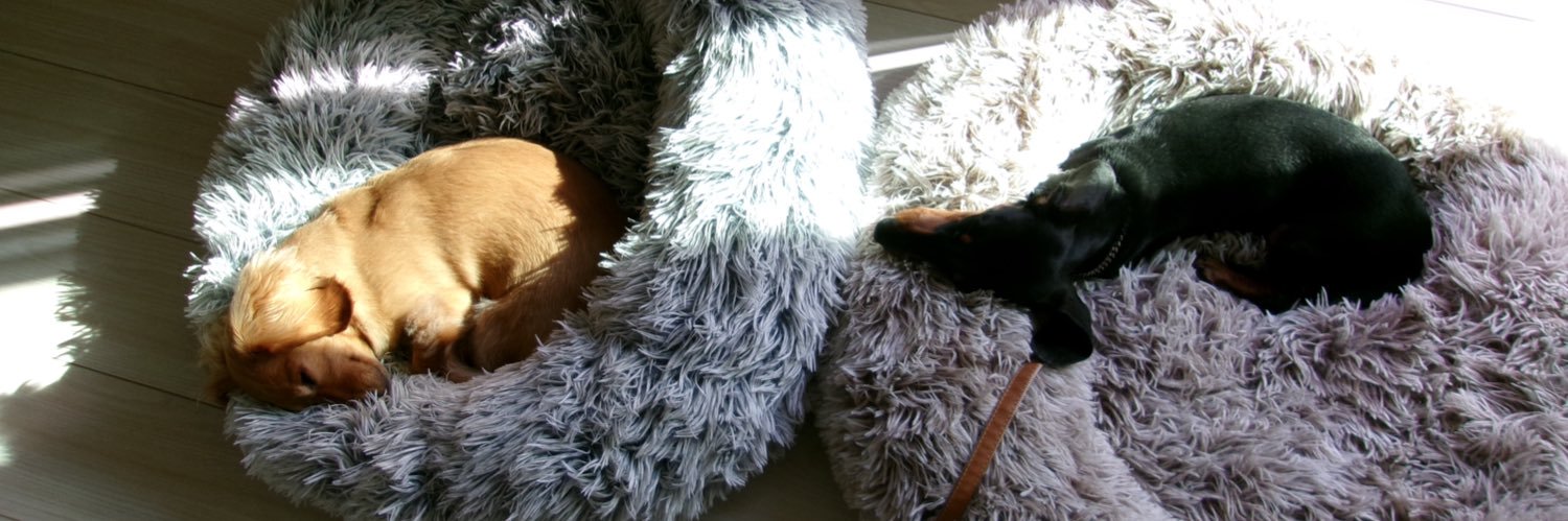 Fuyuko Takahashi banner