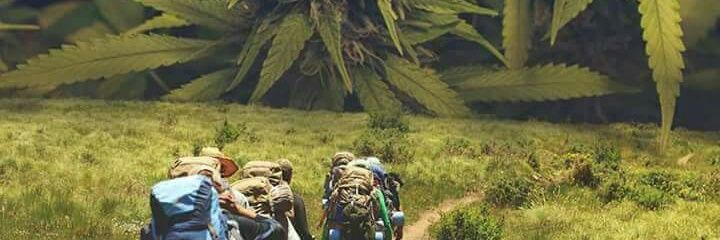 Menezes_Dieg's profile banner image