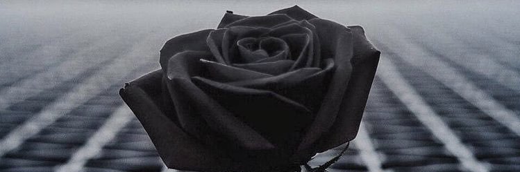 boy_stsc's profile banner image