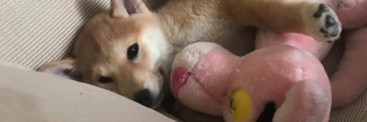 peachystain's profile banner image
