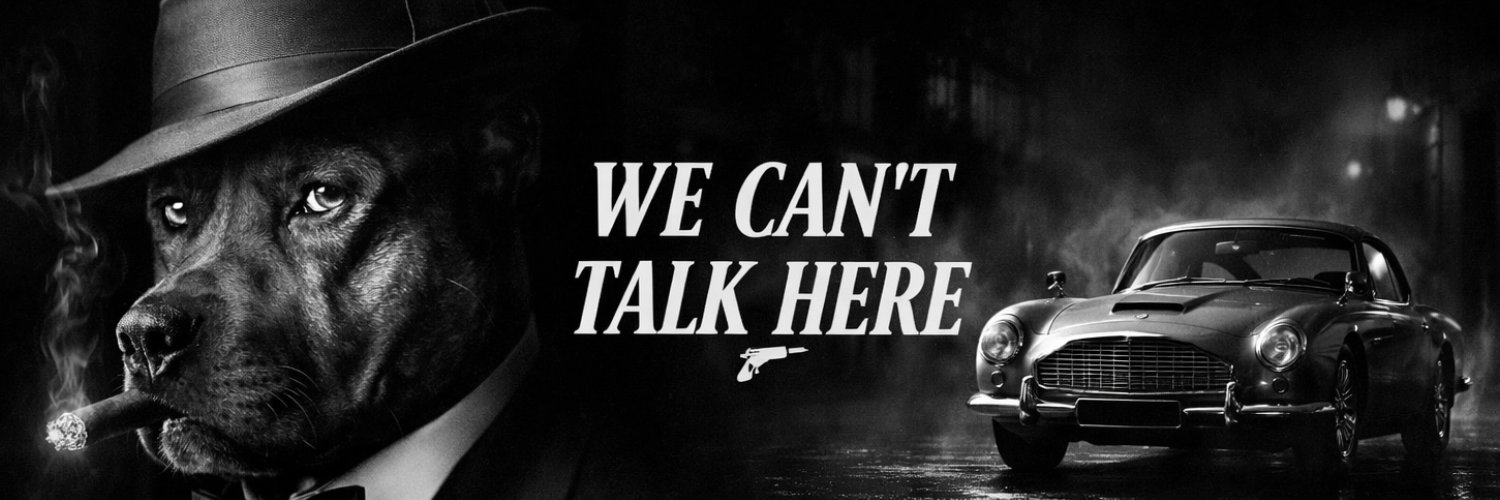 WE CAN'T TALK HERE DEV banner