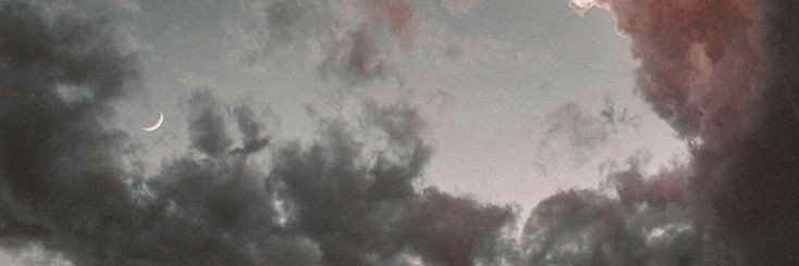 liacurtiss's profile banner image