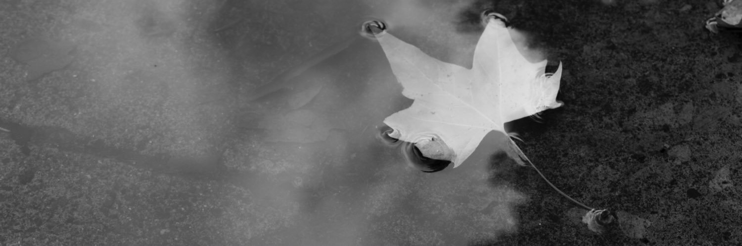 hannahschot's profile banner image