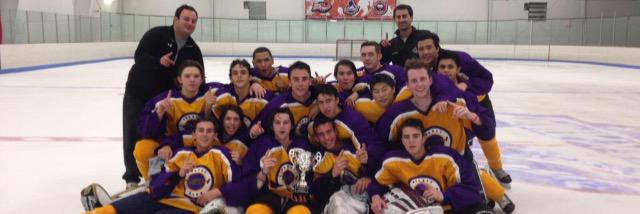 Top Shelf Hockey banner