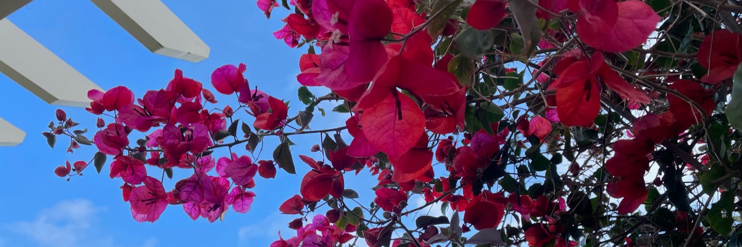 subella_'s profile banner image