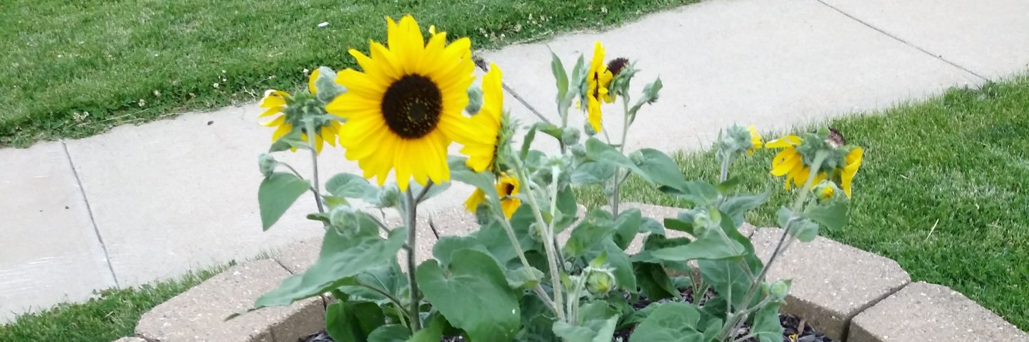bebanes15's profile banner image