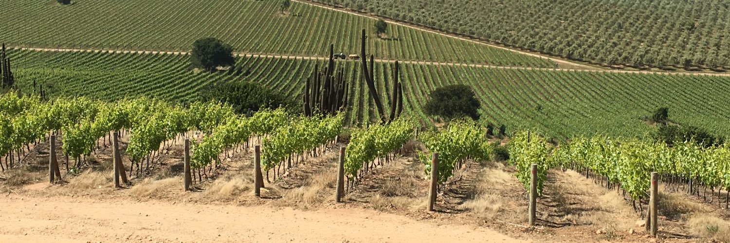 CabernetAR's profile banner image