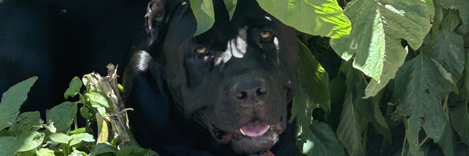 BrentAdams20's profile banner image