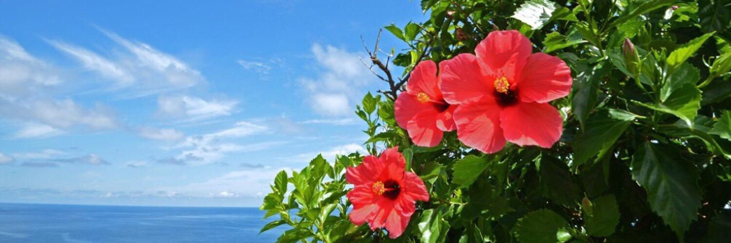 amluv423's profile banner image
