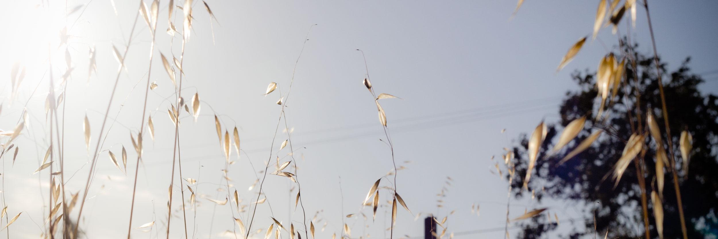 SoCo Videography banner