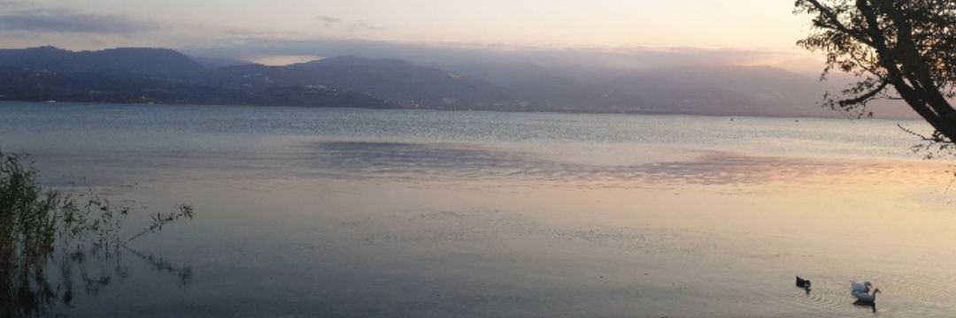 معد banner