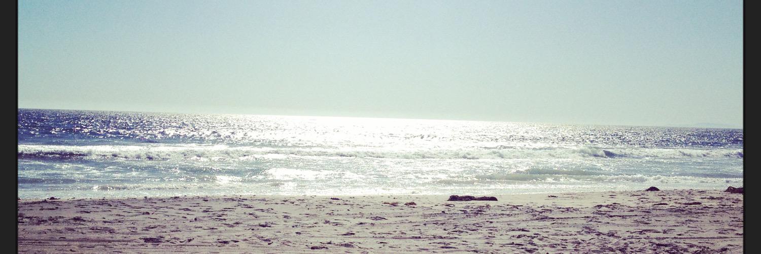 Stefanie Mathewson banner