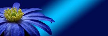 MiniSeksi's profile banner image