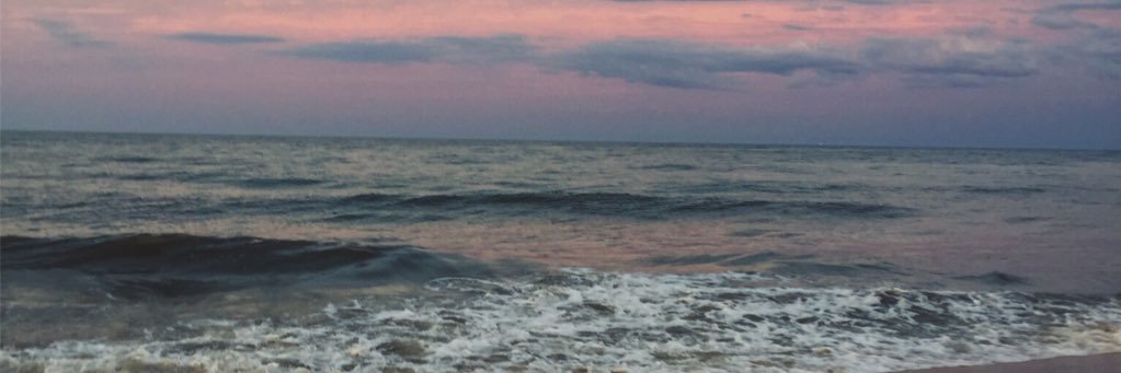 MadisonOliverio's profile banner image