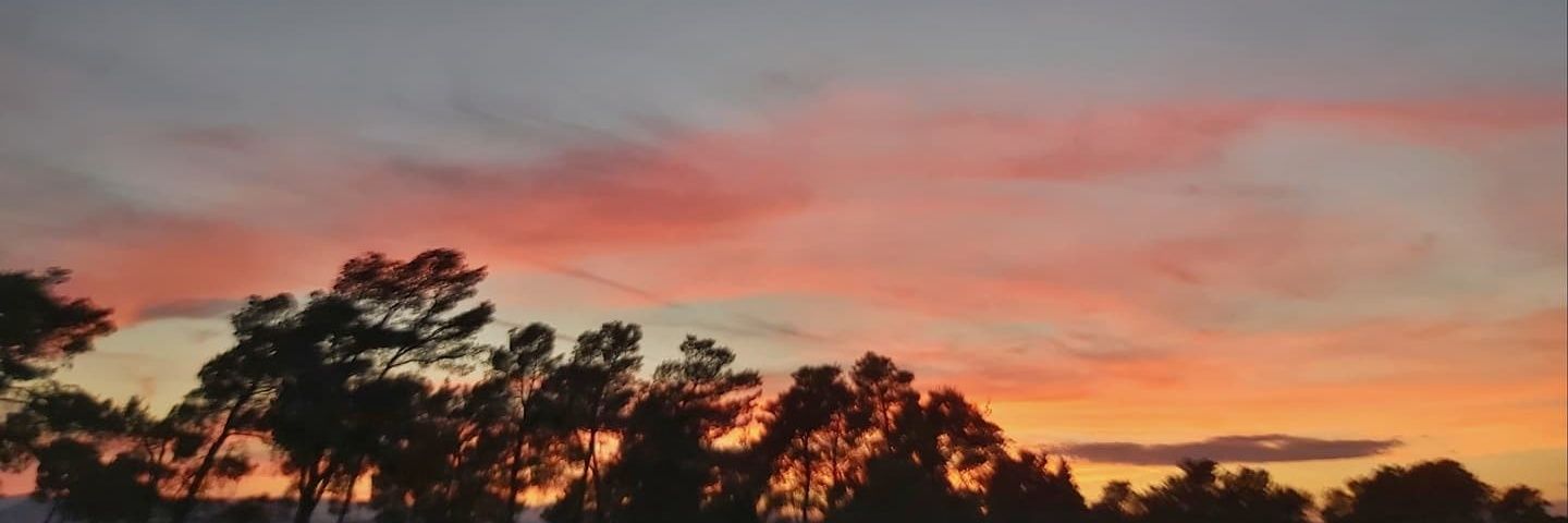 raspopovic83's profile banner image