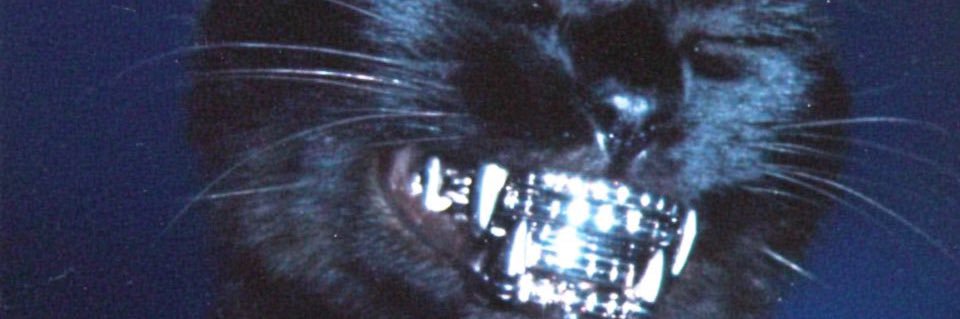 ItsECLJ's profile banner image
