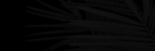 overtonray4's profile banner image