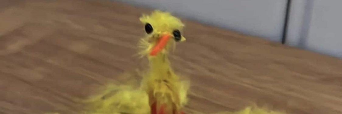 monsemor_'s profile banner image