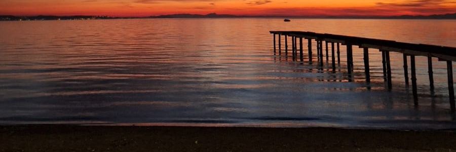 serhatozl's profile banner image