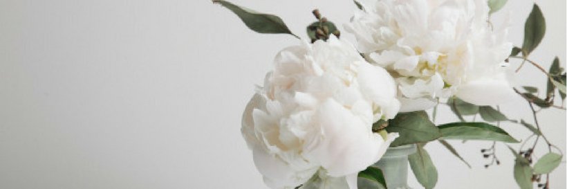 agowing's profile banner image