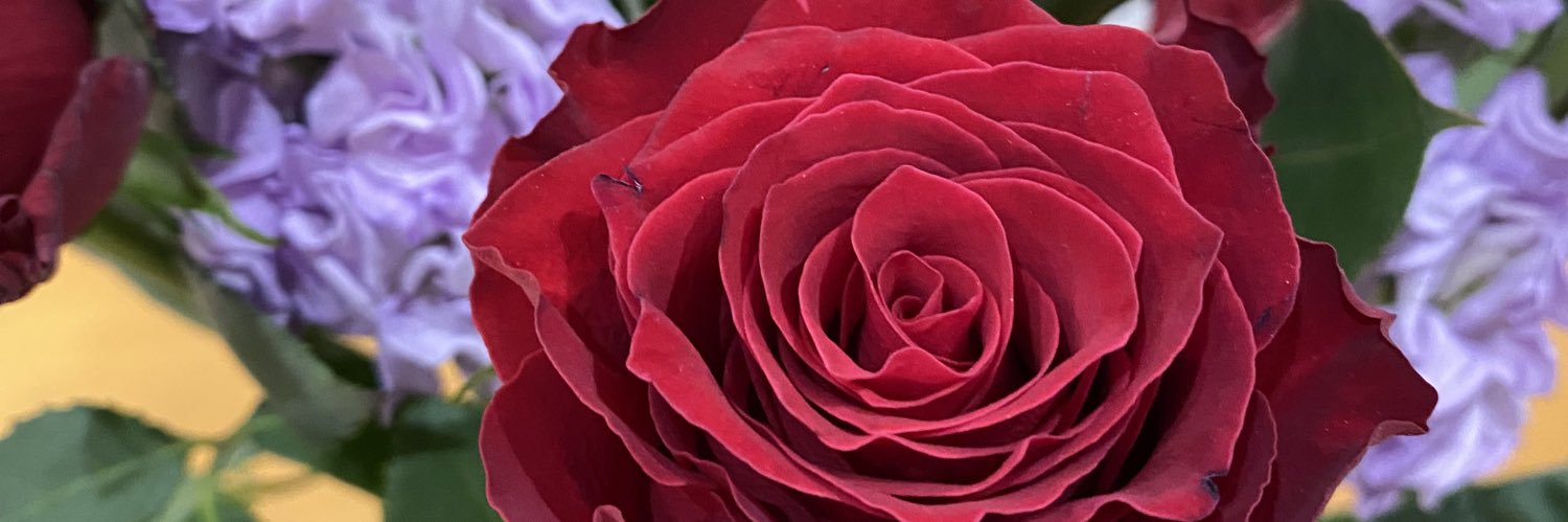 lowman_abby's profile banner image