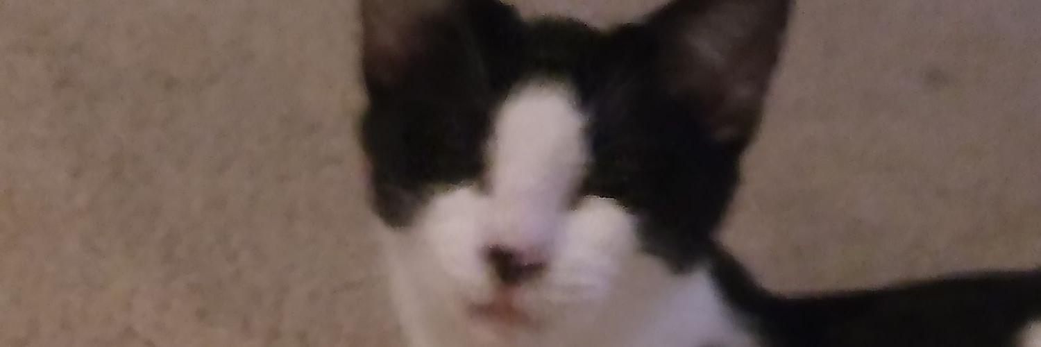 IceRazorGirl123's profile banner image