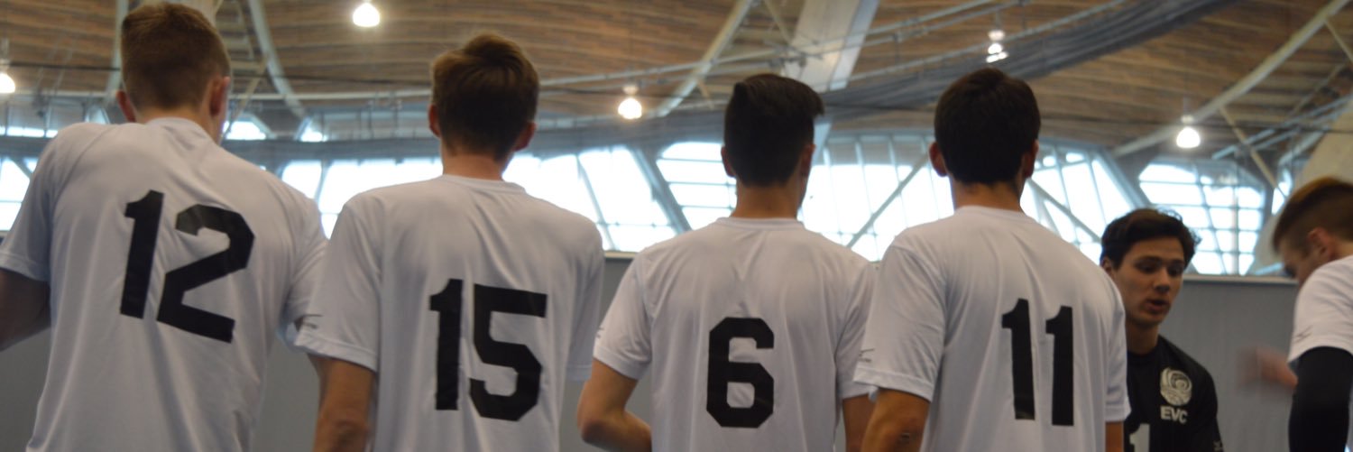ElementVC's profile banner image
