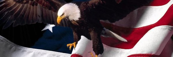 fcgalvin Profile Banner