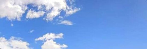 Pitatuito Profile Banner